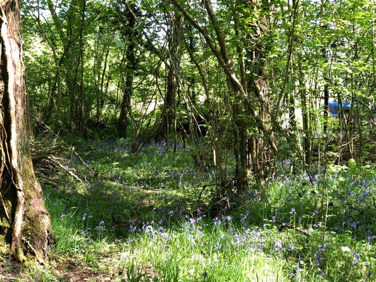 Coed Y Marchog Woodland Retreat Villa Hereford Ngoại thất bức ảnh