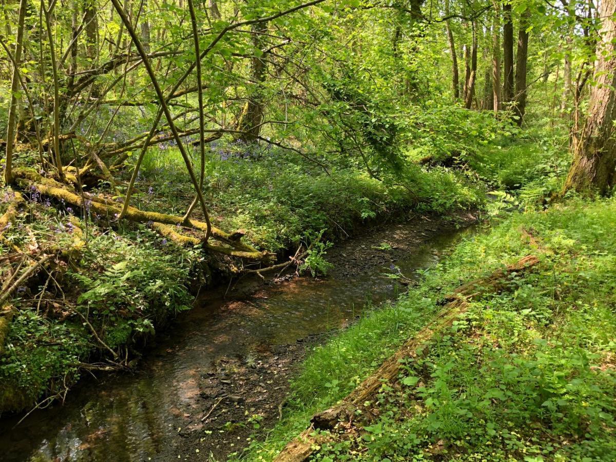 Coed Y Marchog Woodland Retreat Villa Hereford Ngoại thất bức ảnh