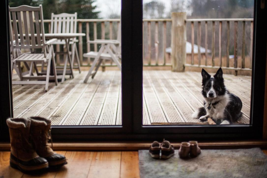 Coed Y Marchog Woodland Retreat Villa Hereford Ngoại thất bức ảnh