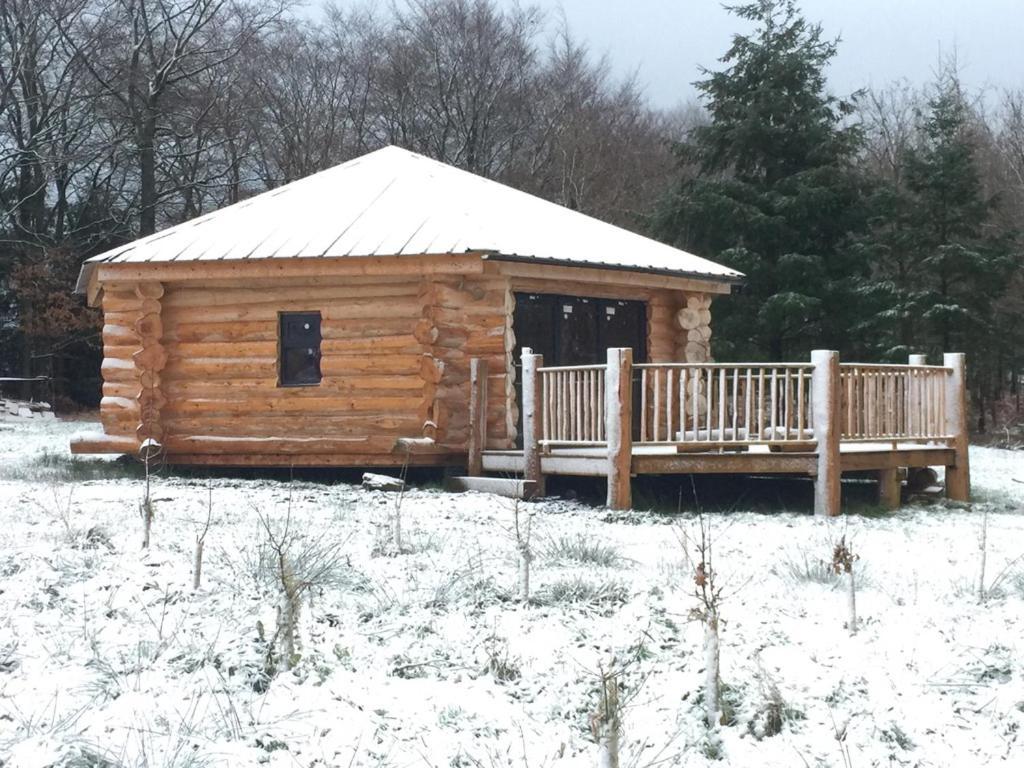 Coed Y Marchog Woodland Retreat Villa Hereford Ngoại thất bức ảnh
